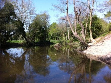 Llanynys Ponds